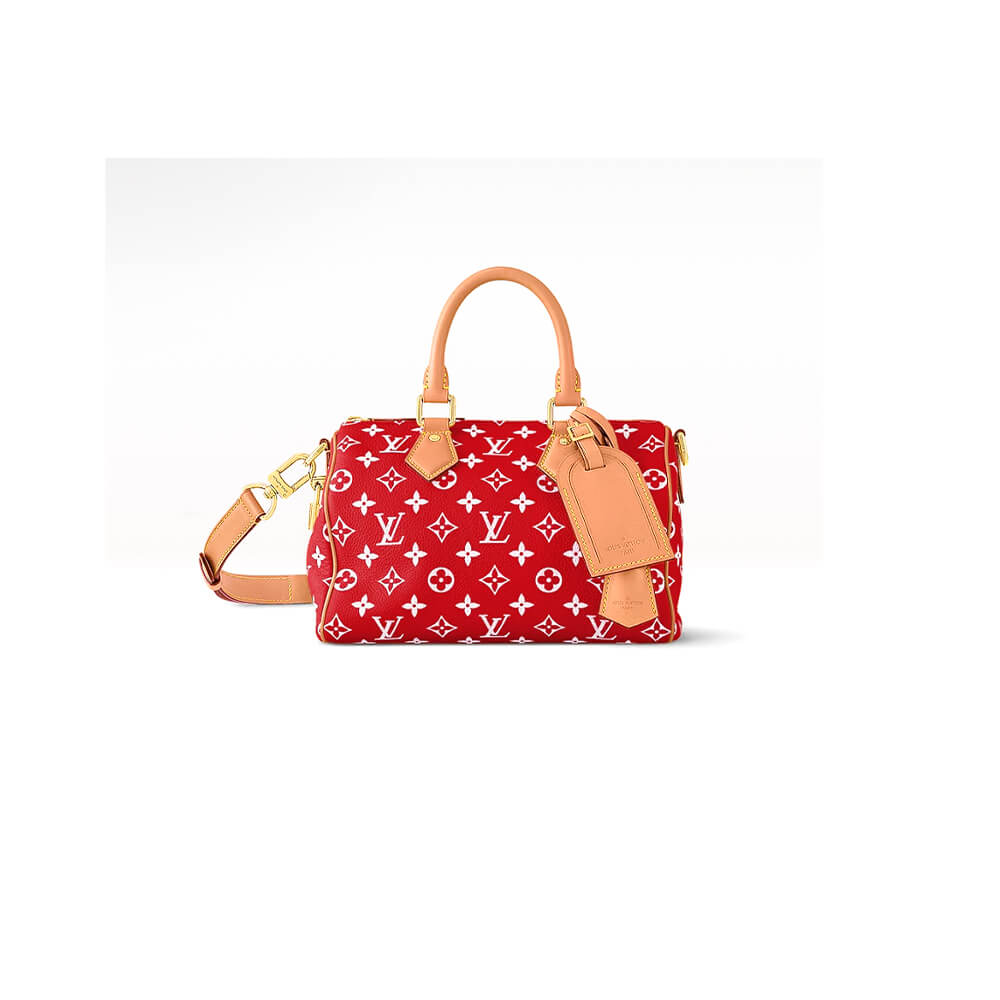 LV Speedy P9 Bandoulière 25