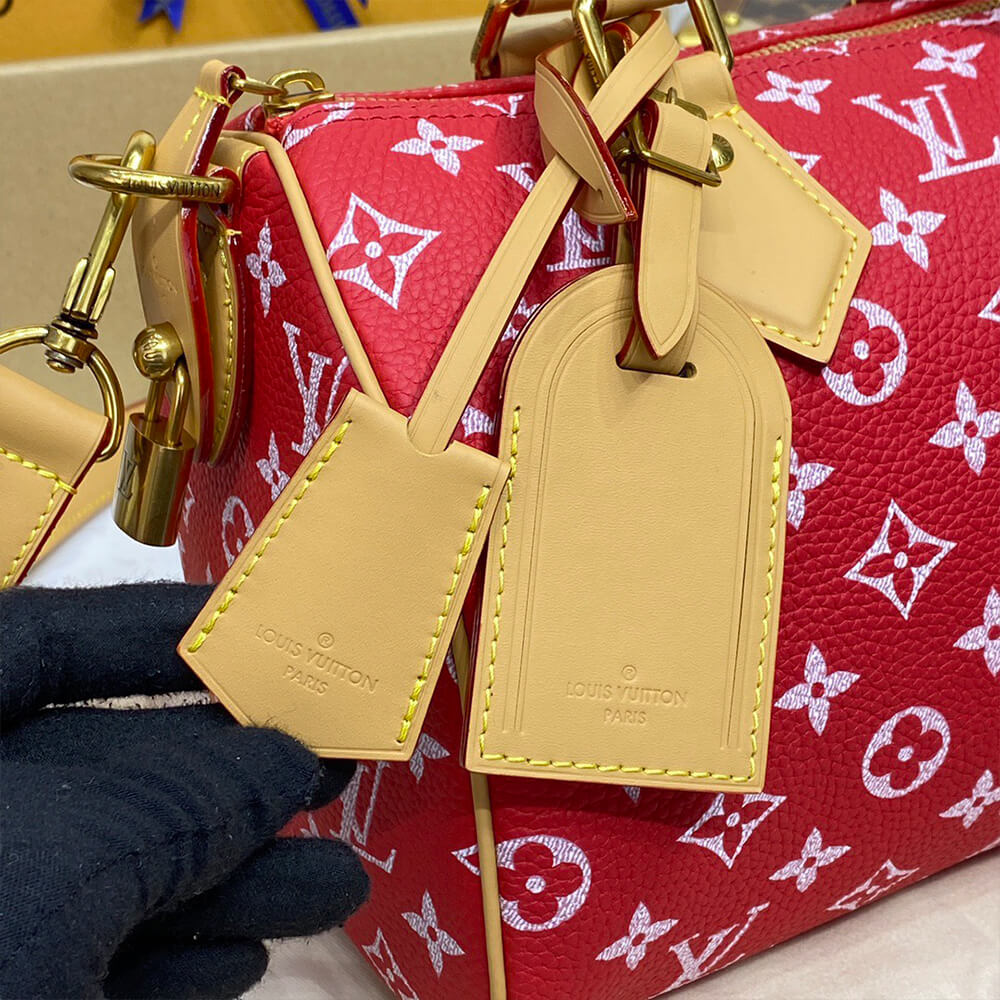 LV Speedy P9 Bandoulière 25